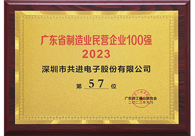 2023广东省制造业民营猎奇网100强